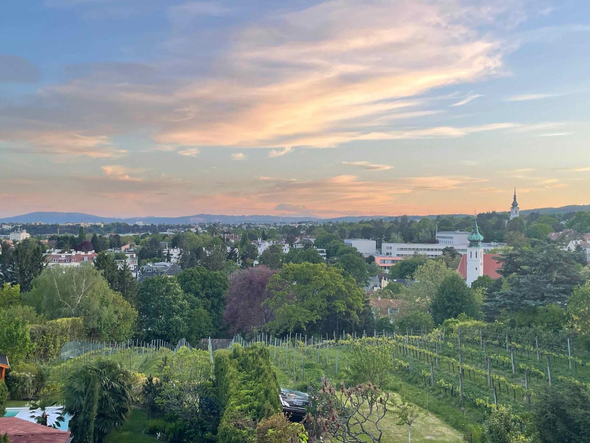 Herrlicher Ausblick Ueber Wien Exteriér fotografie