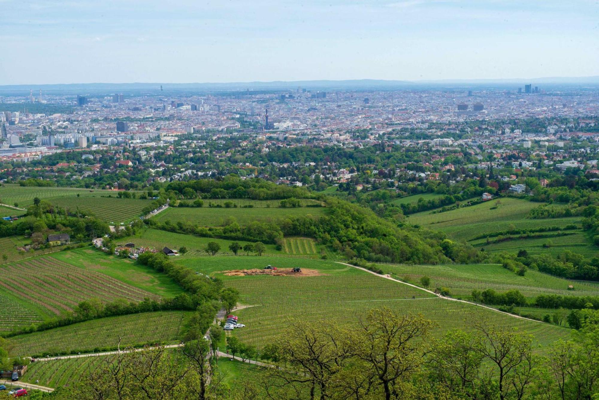 Herrlicher Ausblick Ueber Wien Exteriér fotografie