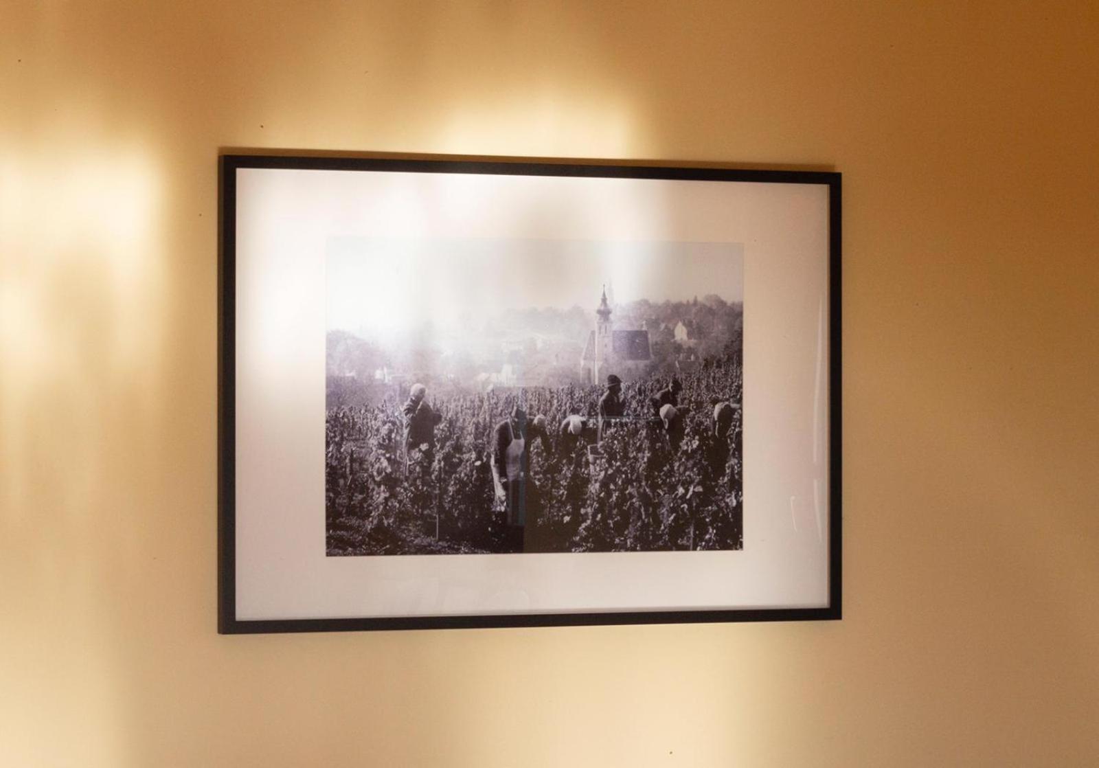 Herrlicher Ausblick Ueber Wien Exteriér fotografie